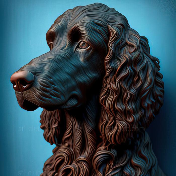 3D model st Irish Water Spaniel dog (STL)